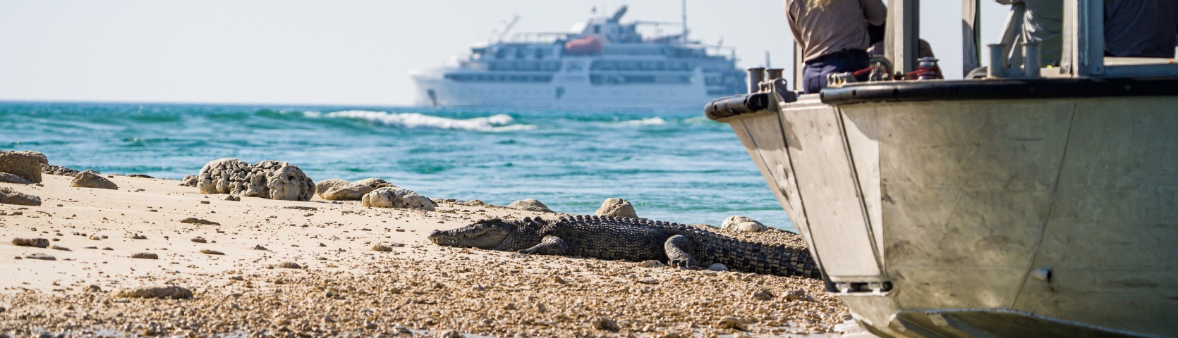 Australias Pioneering Cruise Line