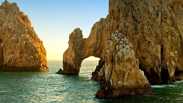Carnial destinations in Mexico Arch