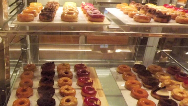 Carnival Doughnuts Pricing