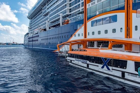 Celebrity Edge Magic Carpet