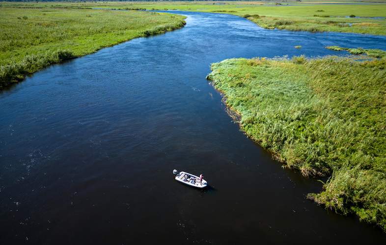 Chobe & Zambezi River Cruise