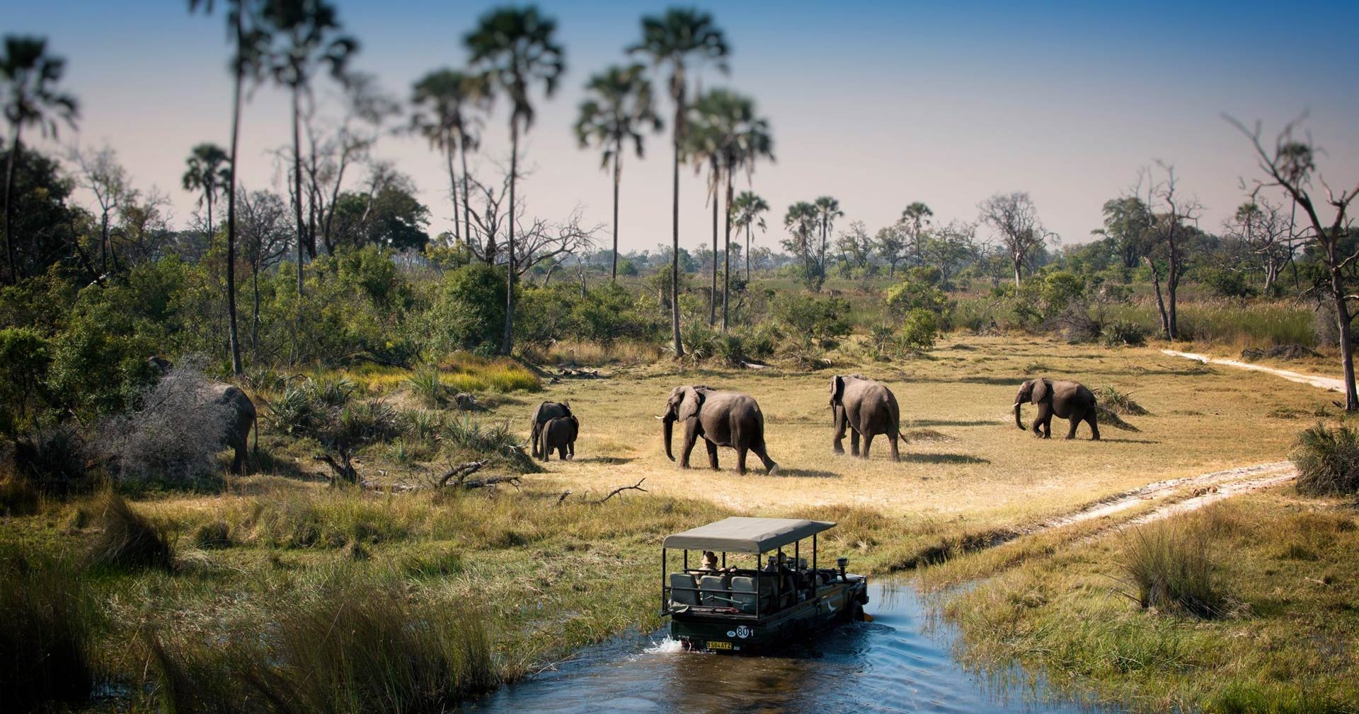 Chobe National Park