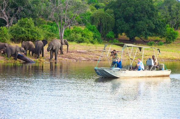 Chobe River