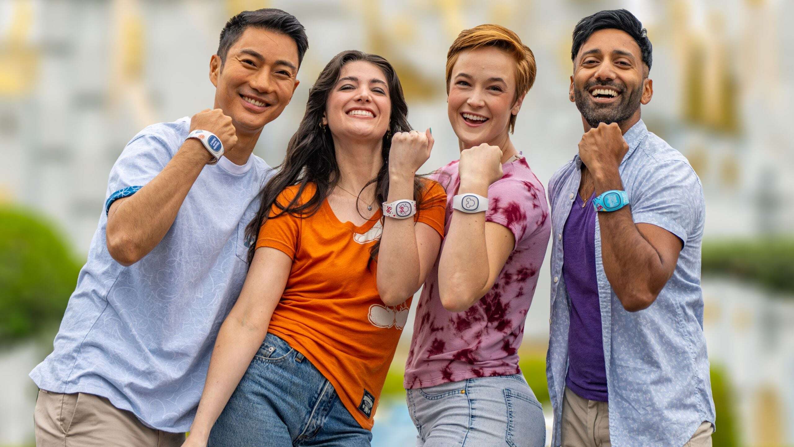 Disney Band collectible