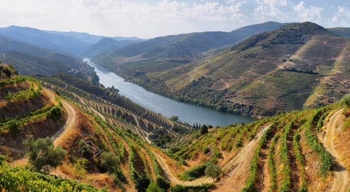 Douro River Cruise Aerial