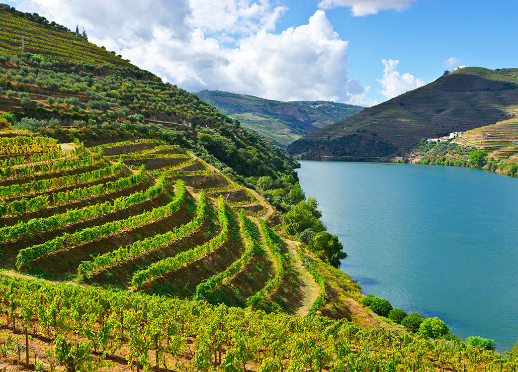 Duoro river cruise vineyards