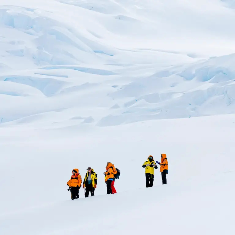 Expeditions