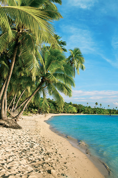 Fiji beautiful beach with blue water