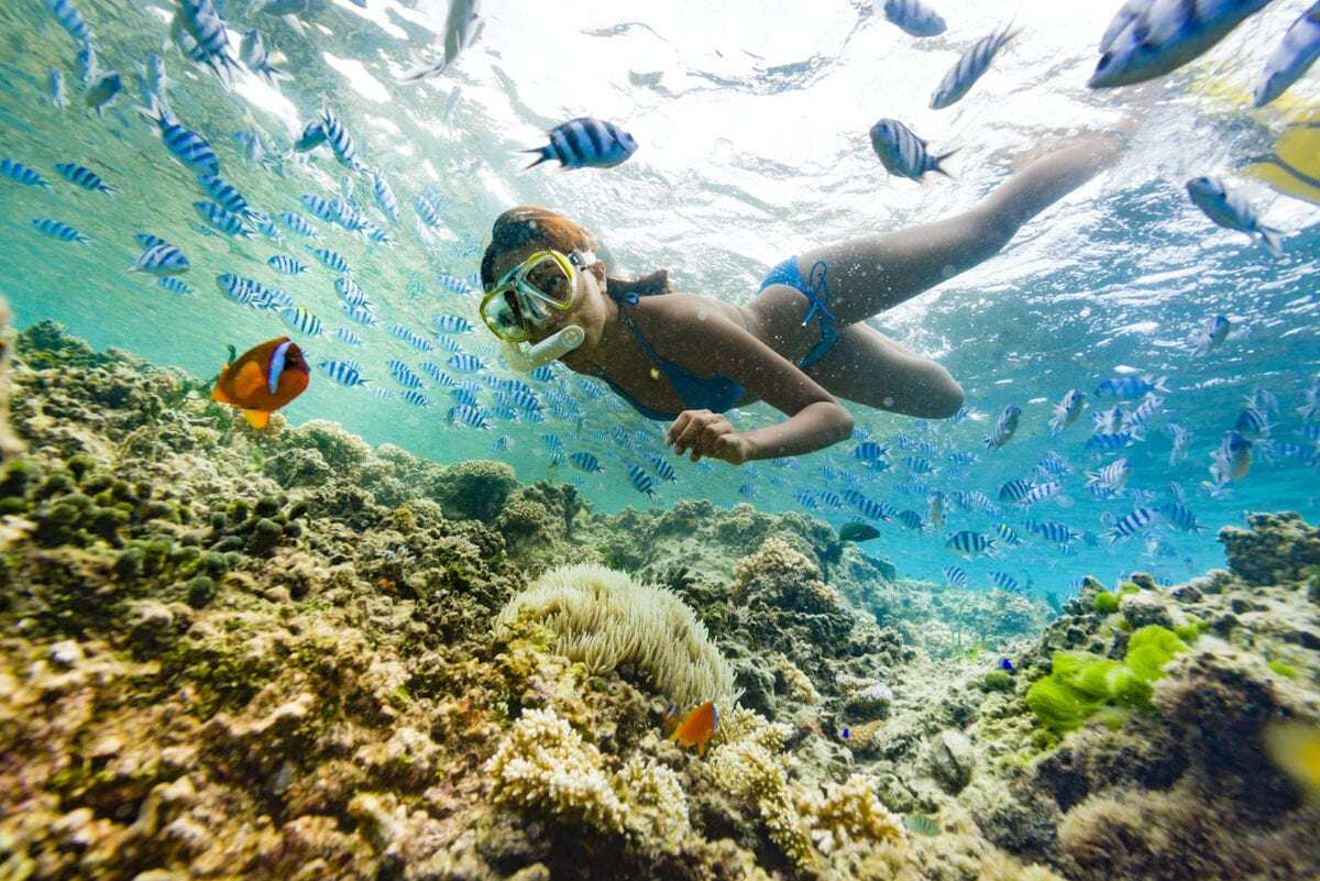 Mamanuca snorkelling