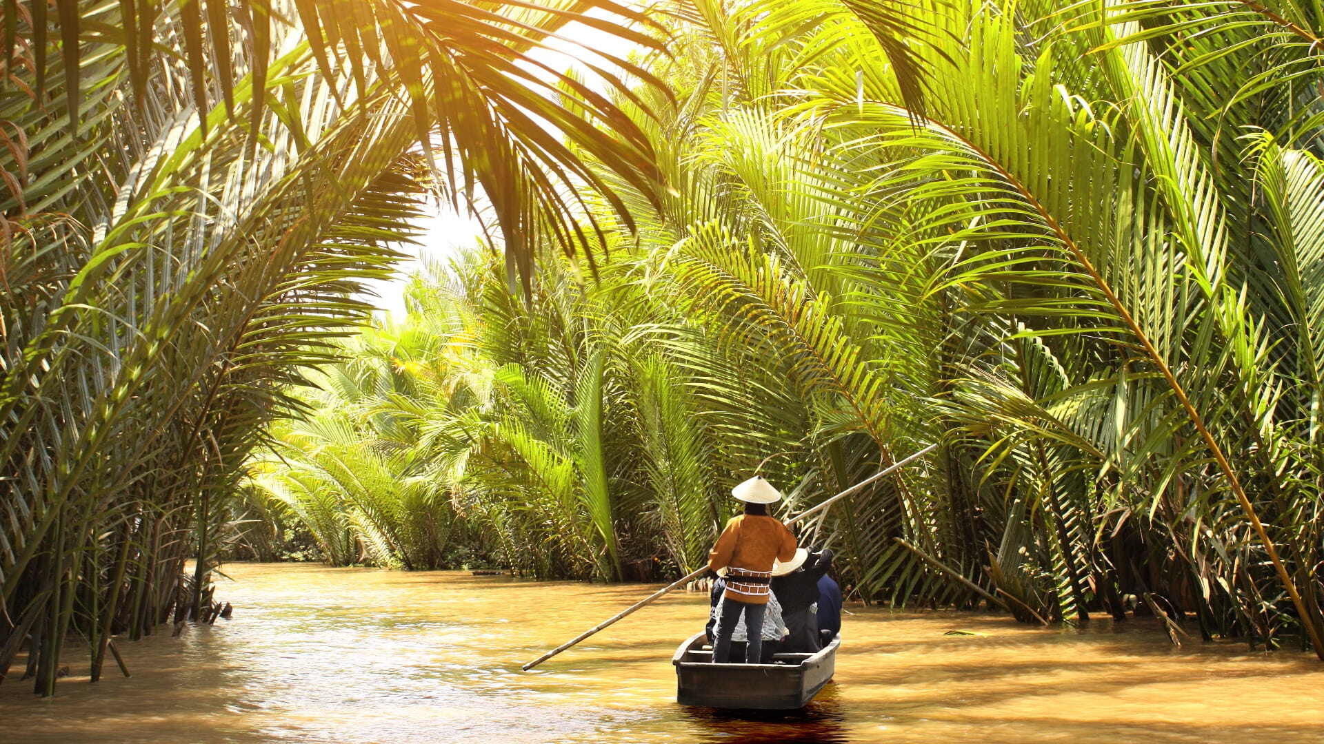 Mekong Delta View