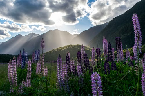 Milford Sound New Zealand