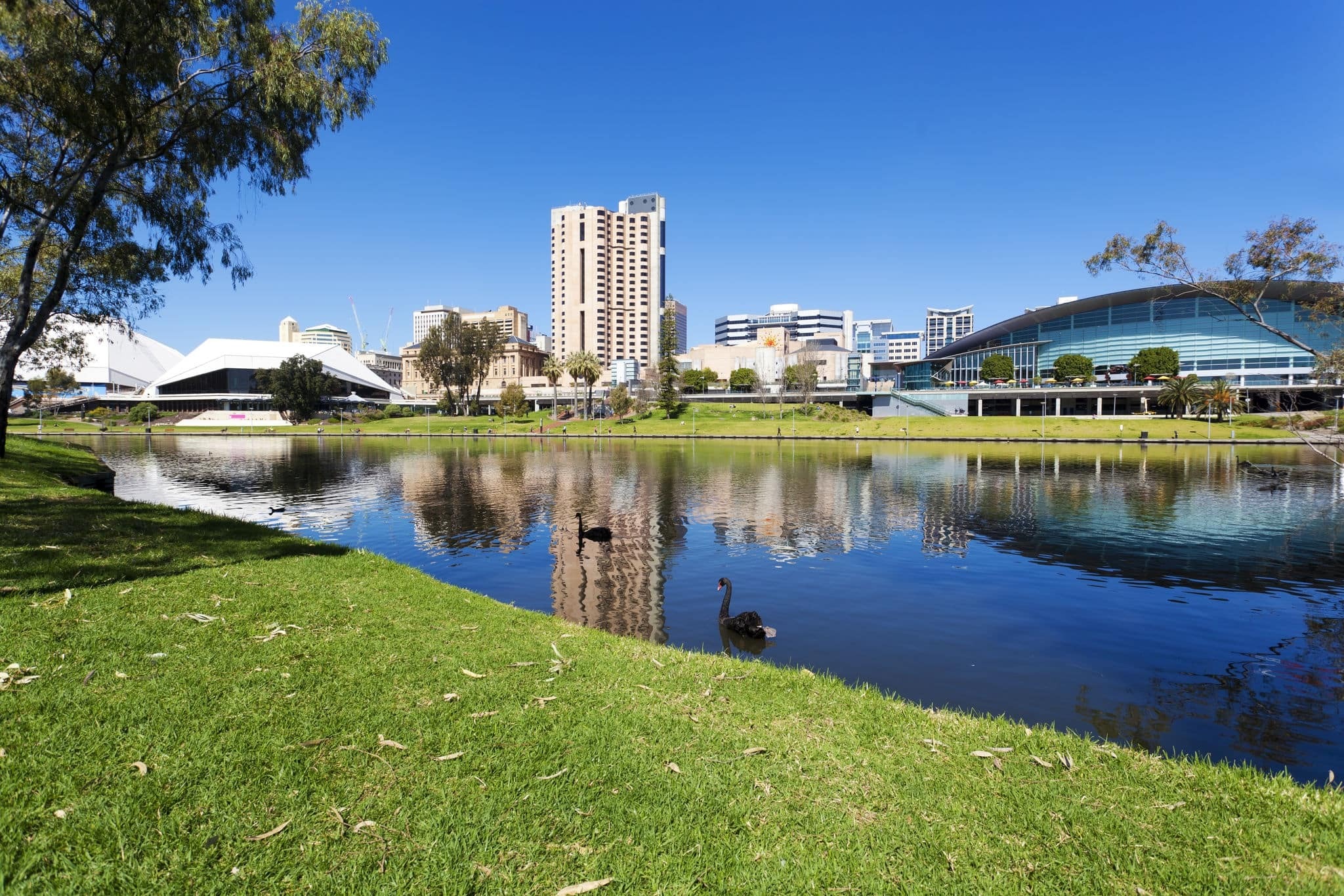 Norwegian Cruise Line Adelaide