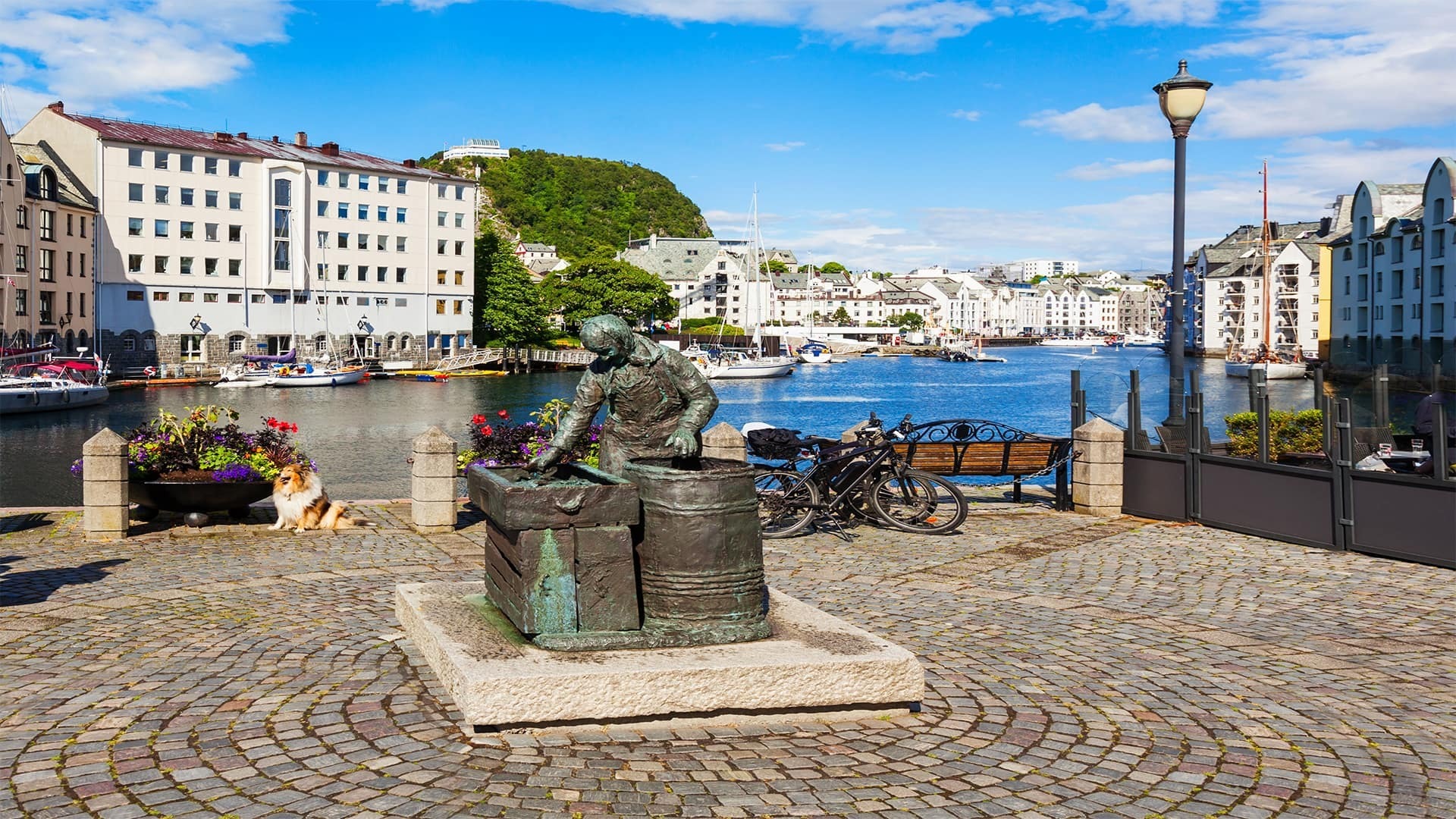 Norwegian Cruise Line Holdings lets take a selfie Alesund