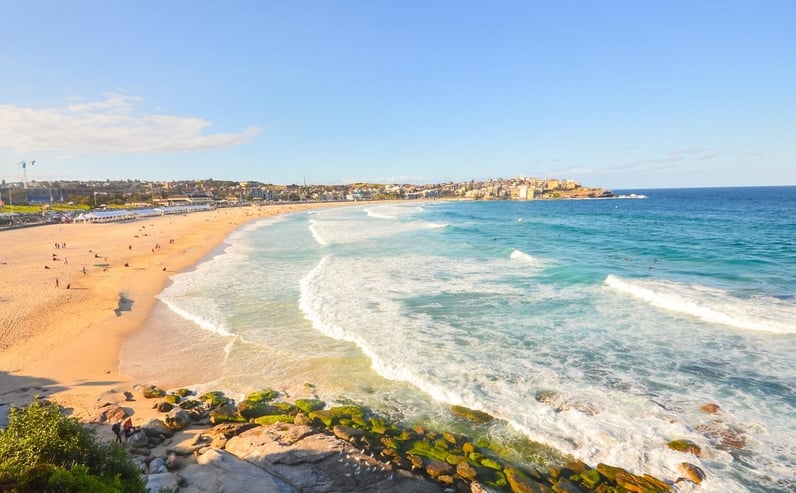 Prince Cruises Sydney Australia Bondi Beach