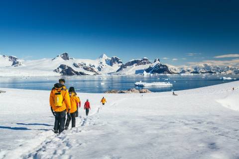 Quark Antartic Explorer