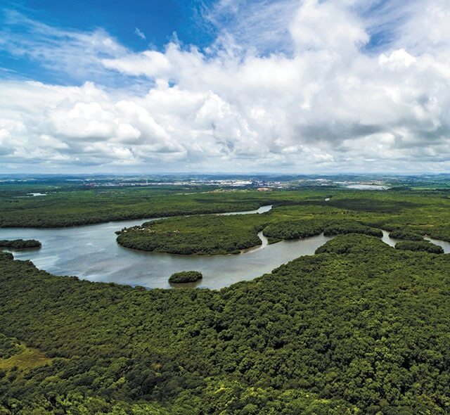 Regent Seven Seas Cruises Amazon River