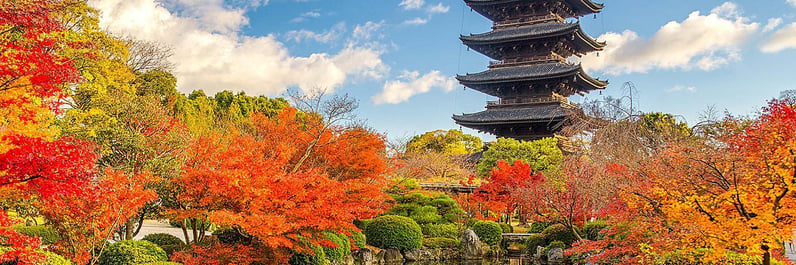 Royal Caribbean Japan
