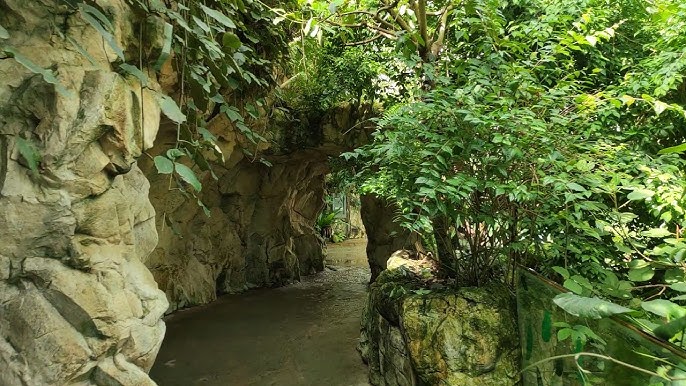 Schönbrunn Zoo rainforest house