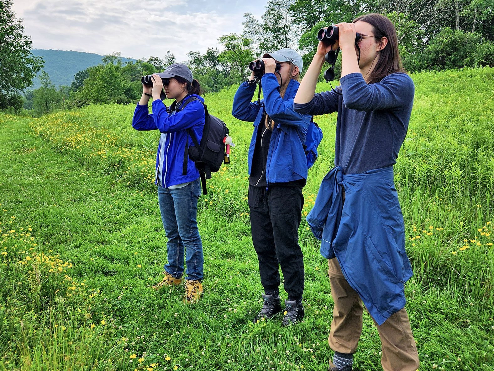 birdwatchers