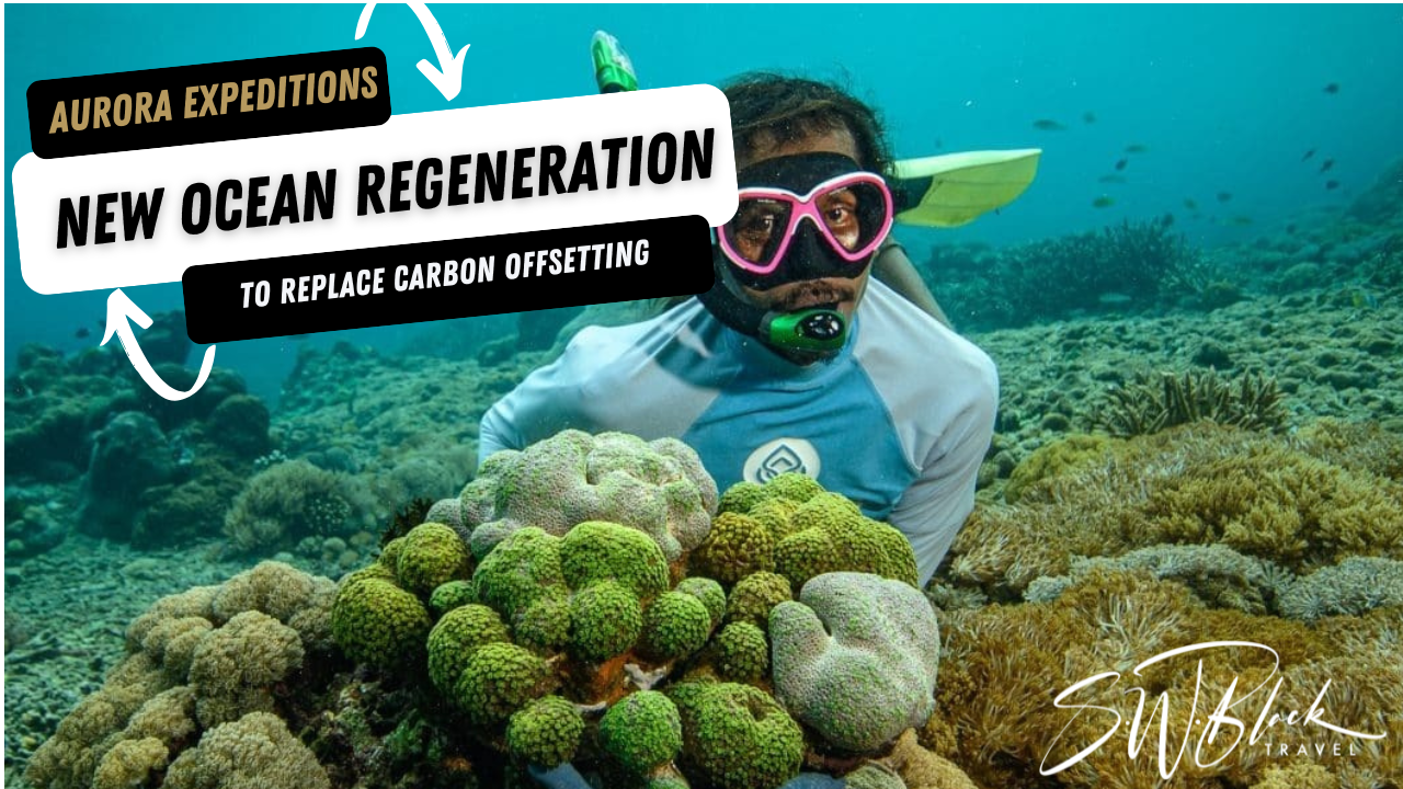 Aurora Expeditions Launches New Ocean Regeneration Program to Replace Carbon Offsetting