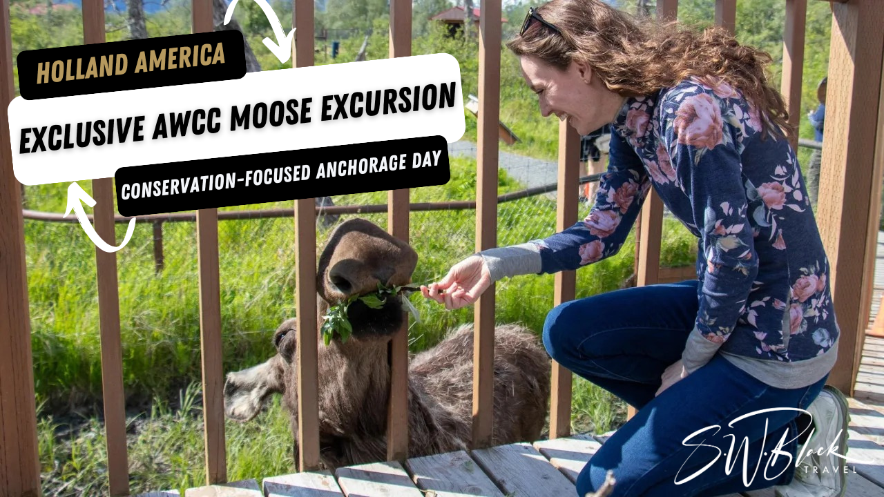 Holland America’s New Moose Excursion